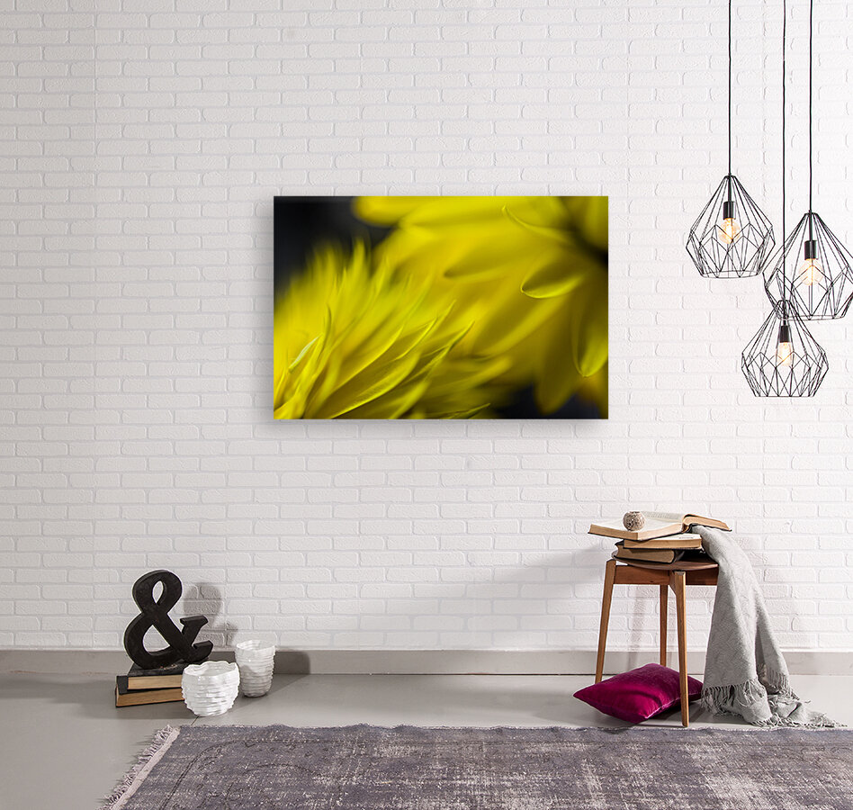 Yellow encounters Reproduction