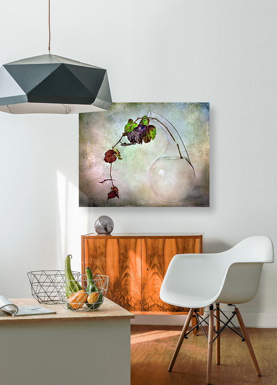 Autumnal vine composition Reproduction