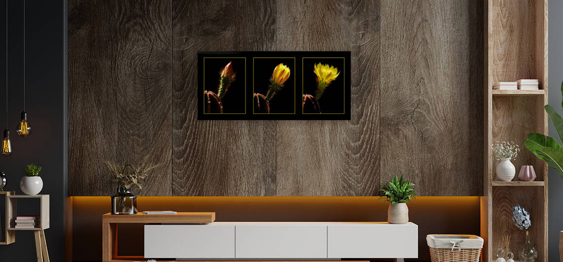 Blossoming Triptych by Barbara Corvino