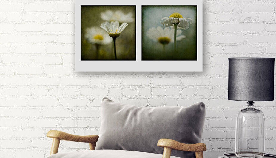 Daisies Diptych by Barbara Corvino