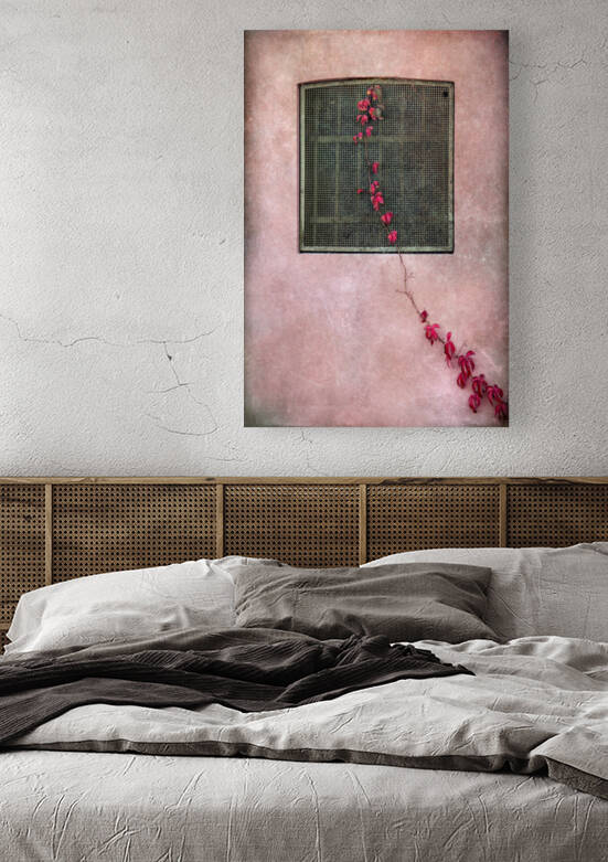Early autumn by Barbara Corvino