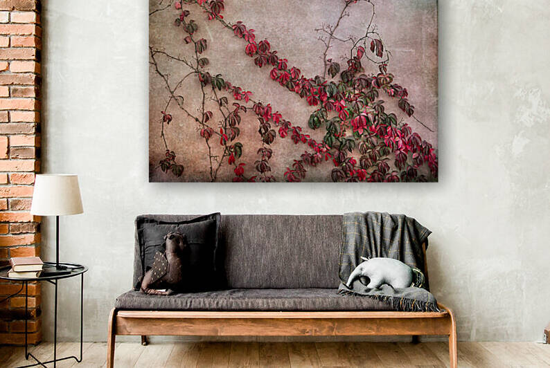 Autumn on the wall by Barbara Corvino