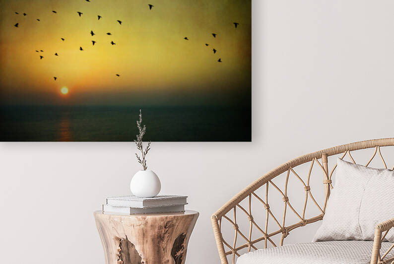 Flight at sunrise by Barbara Corvino