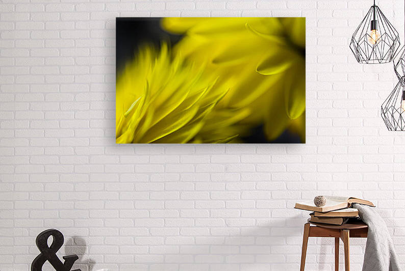 Yellow encounters by Barbara Corvino