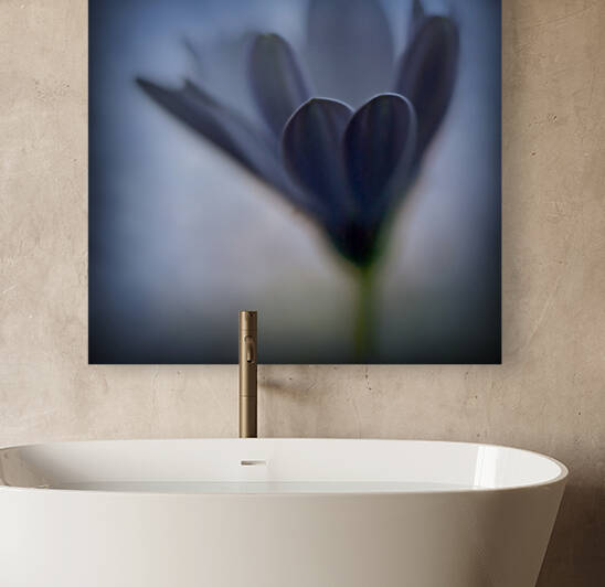 Soft blue by Barbara Corvino