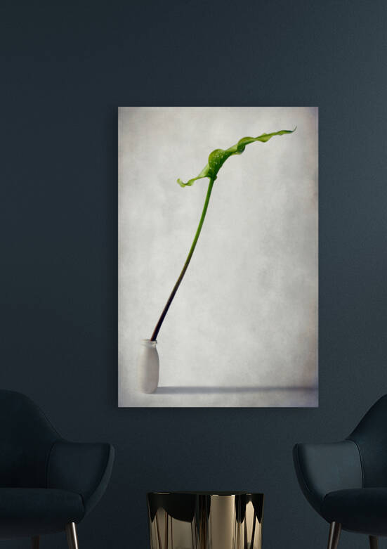 Balanced by Barbara Corvino