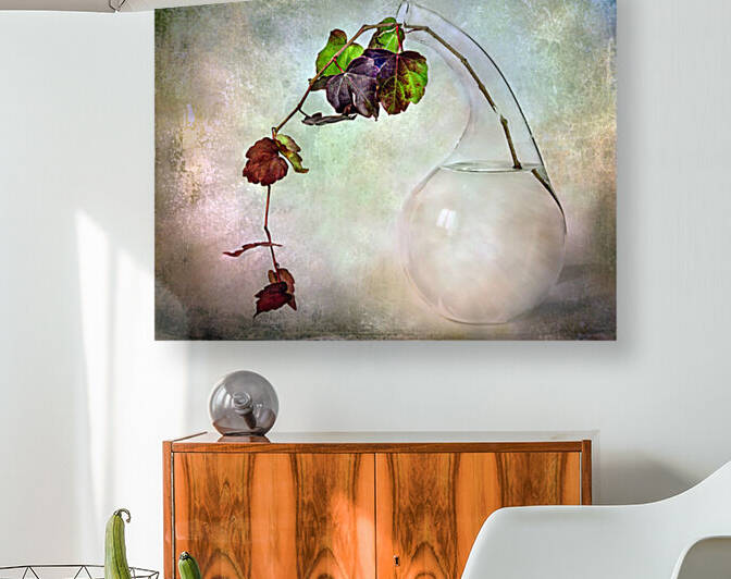 Autumnal vine composition by Barbara Corvino