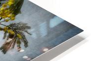 Mimosa HD Metal print