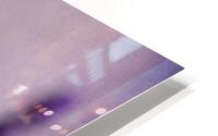 Lavenders HD Metal print