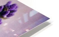 Lavender HD Metal print