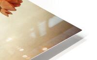 Vanishing HD Metal print
