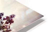 Purple orchid HD Metal print