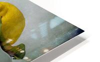 Citrea HD Metal print