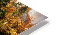 Towards autumn HD Metal print
