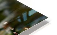 Brown velvet HD Metal print