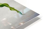 Balanced HD Metal print