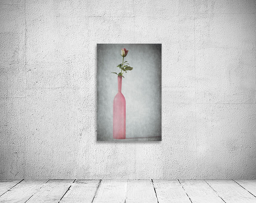 Rosa Wall Preview