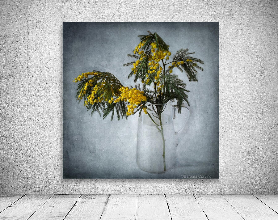 Mimosa Wall Preview