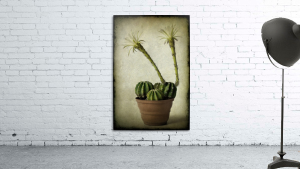 Two Wall Preview