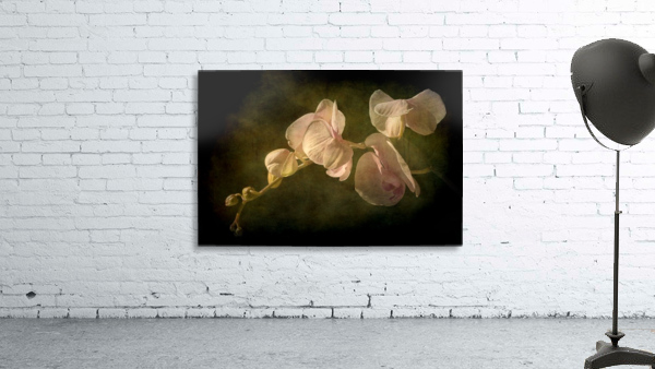 Orchid Wall Preview