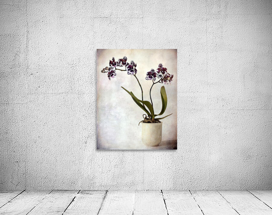 Purple orchid Wall Preview