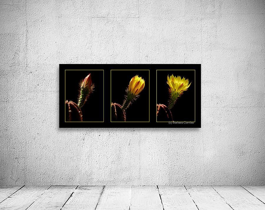 Blossoming Triptych Wall Preview