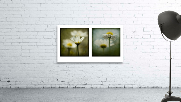 Daisies Diptych Wall Preview
