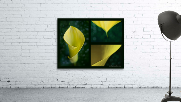 Yellow calla Triptych Wall Preview