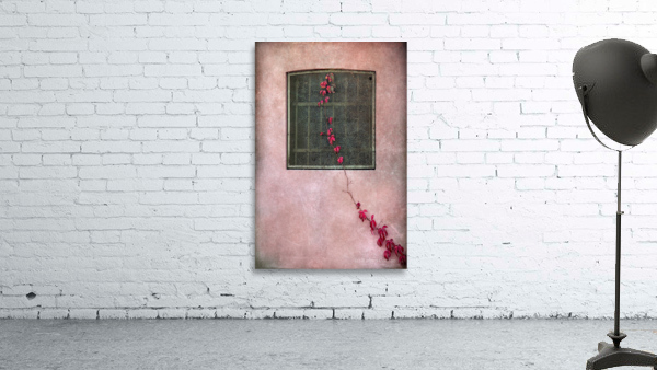 Early autumn Wall Preview
