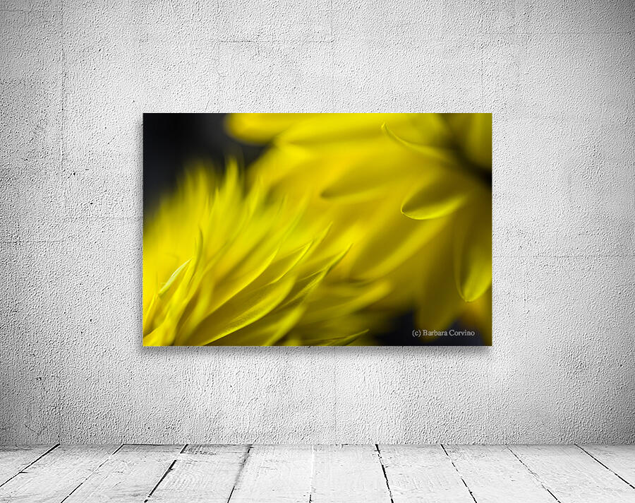 Yellow encounters Wall Preview