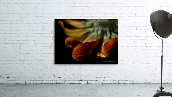 Brown velvet Wall Preview