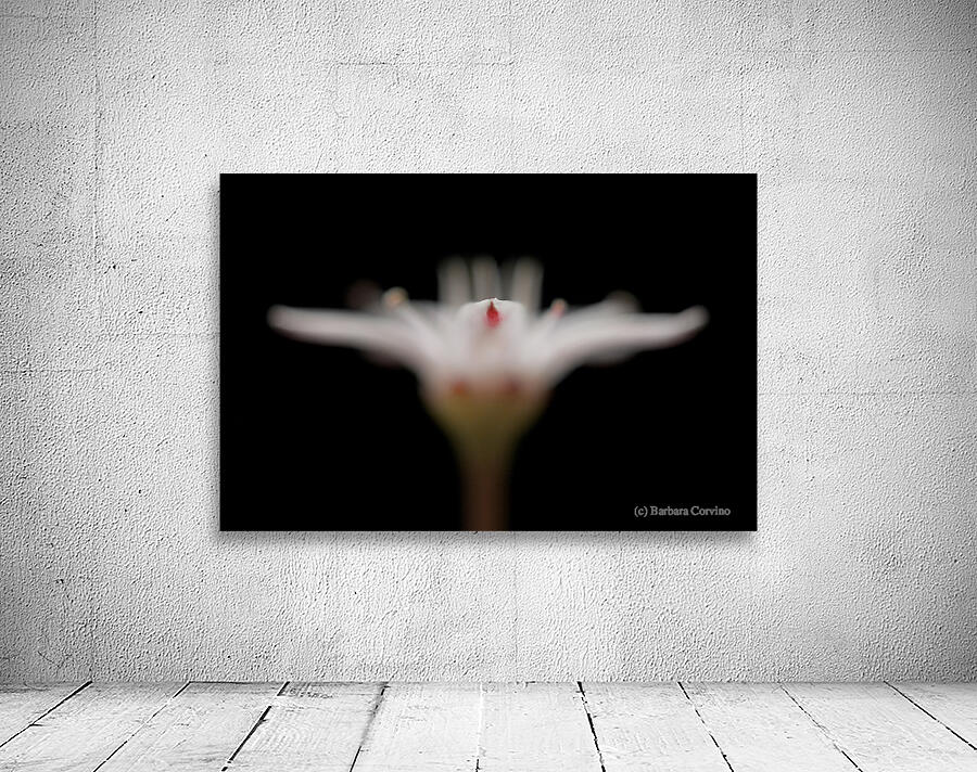 White angel Wall Preview