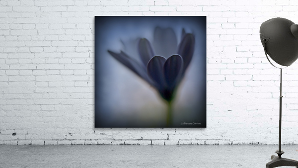 Soft blue Wall Preview