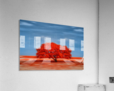 Lady in Red Acrylic Print