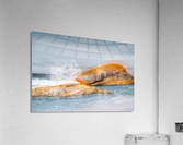 Plage Beaussis Acrylic Print