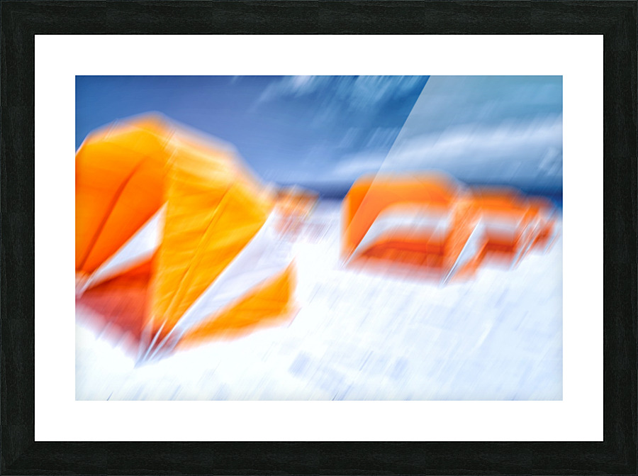Pirate Grove Point Picture Frame print