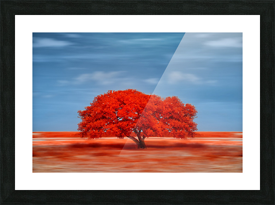 Lady in Red Picture Frame print
