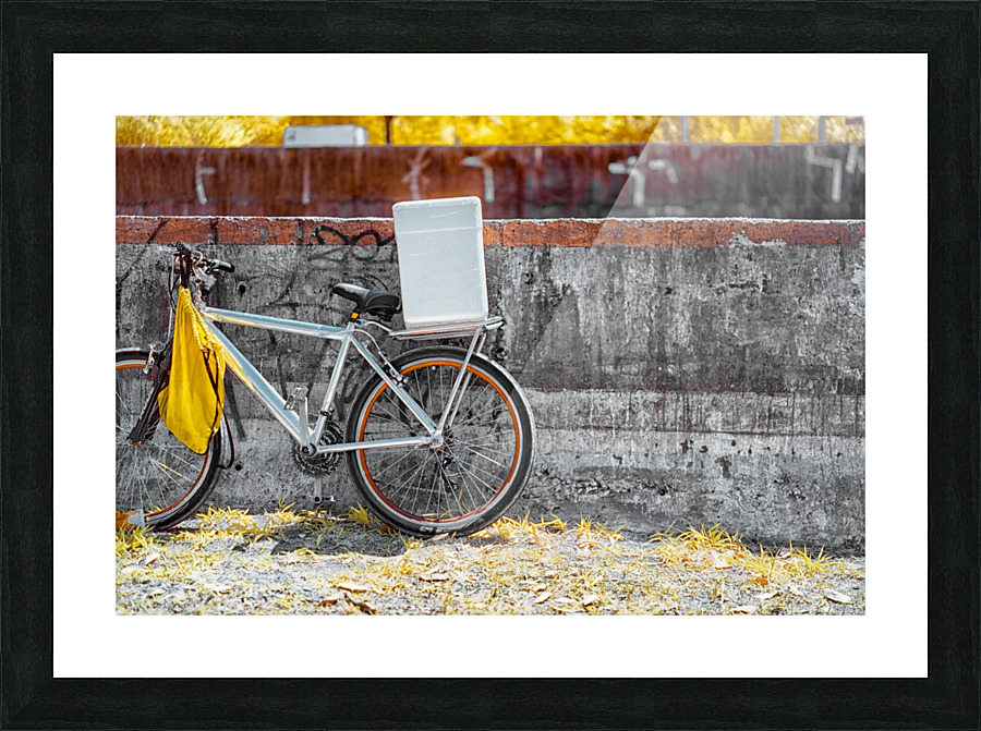 LE GUIDE DE VIE Picture Frame print