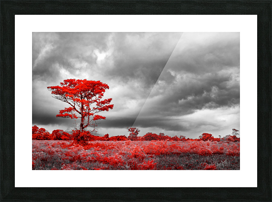 Red Tree Picture Frame print