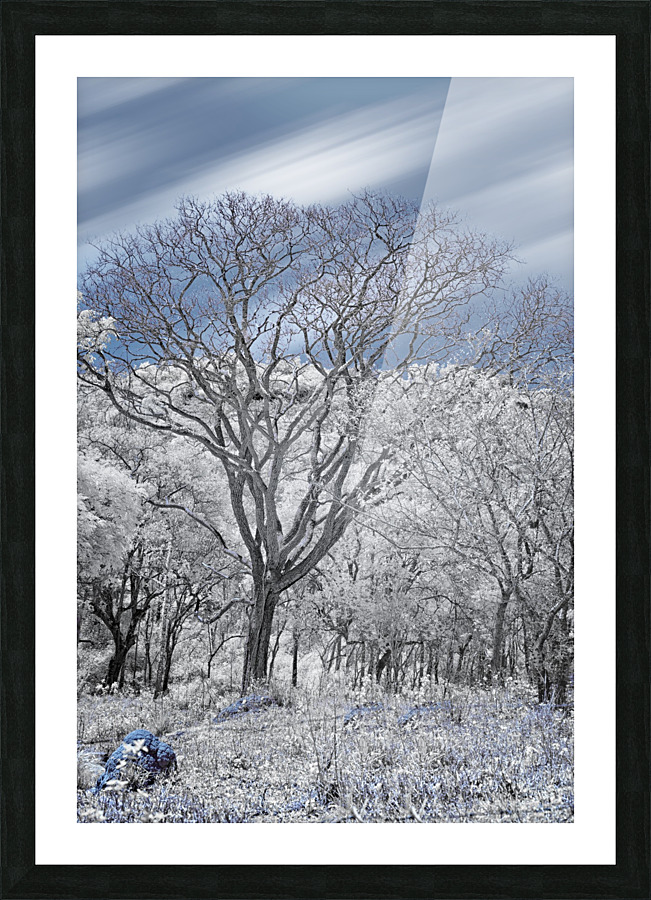 Dialogue with Objective Picture Frame print