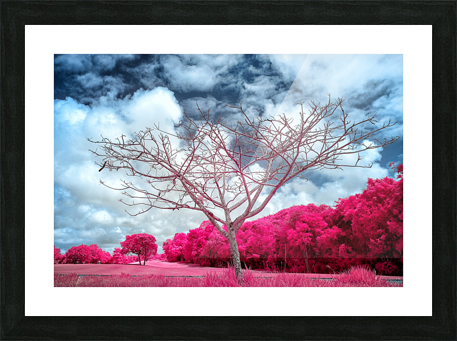 Up Close with Bathing Insight Picture Frame print