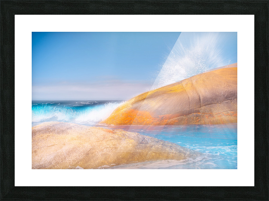 Lush Grove Picture Frame print