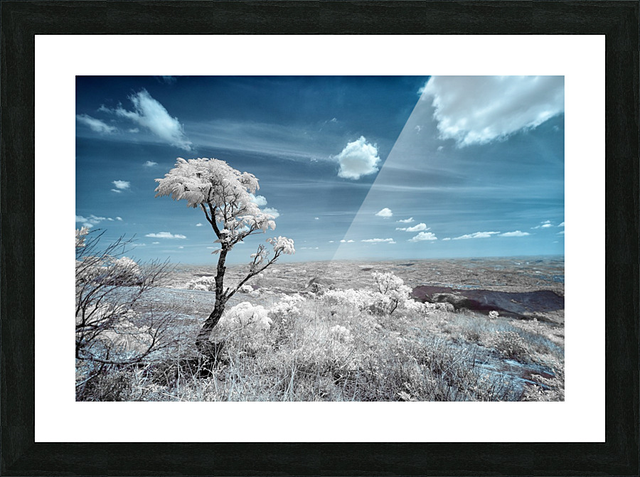 SACRED PIECE Picture Frame print