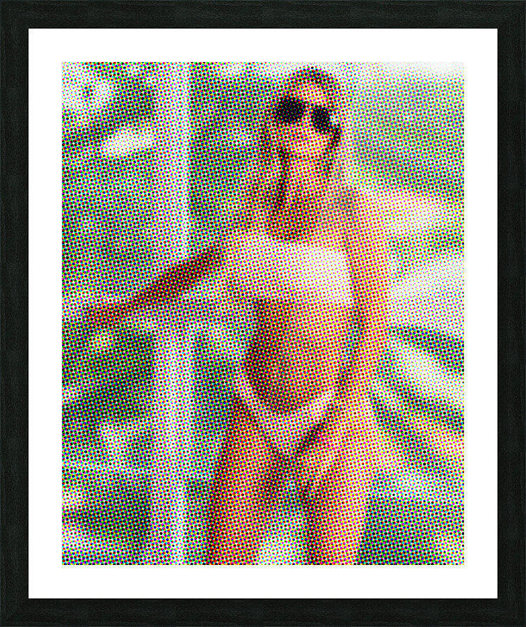 Maeeve Picture Frame print