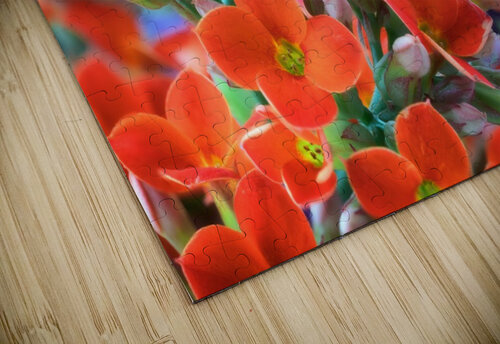 Flowers Glauco Meneghelli puzzle