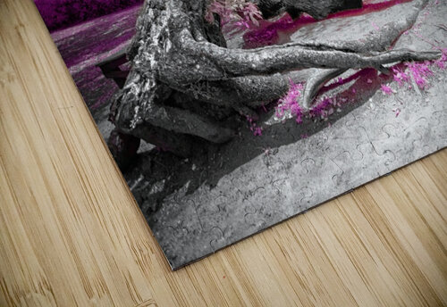 Dry Oak Glauco Meneghelli puzzle