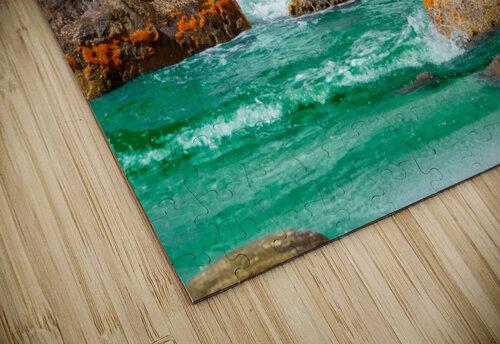 Midnight Paradise Glauco Meneghelli puzzle