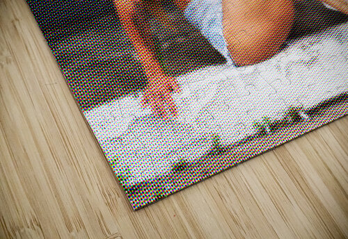 Madison Glauco Meneghelli puzzle