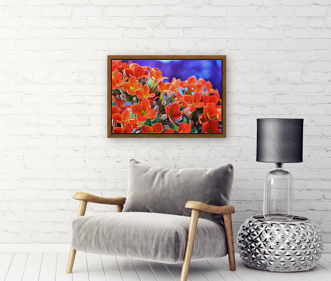 Flowers Reproduction