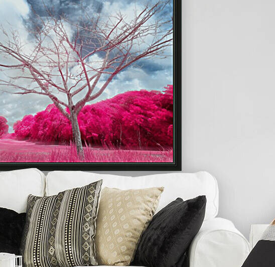 Pygmybirch by Glauco Meneghelli